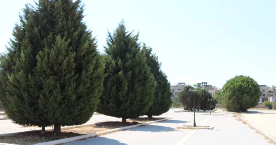 صورة الخبر