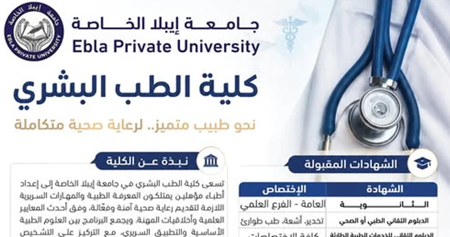صورة الخبر